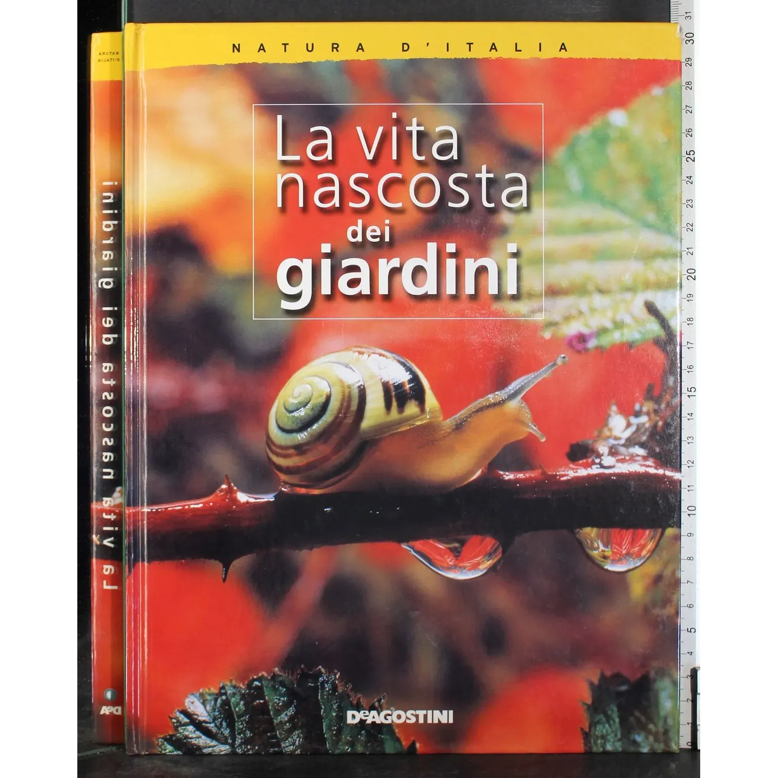La vita nascosta dei giardini