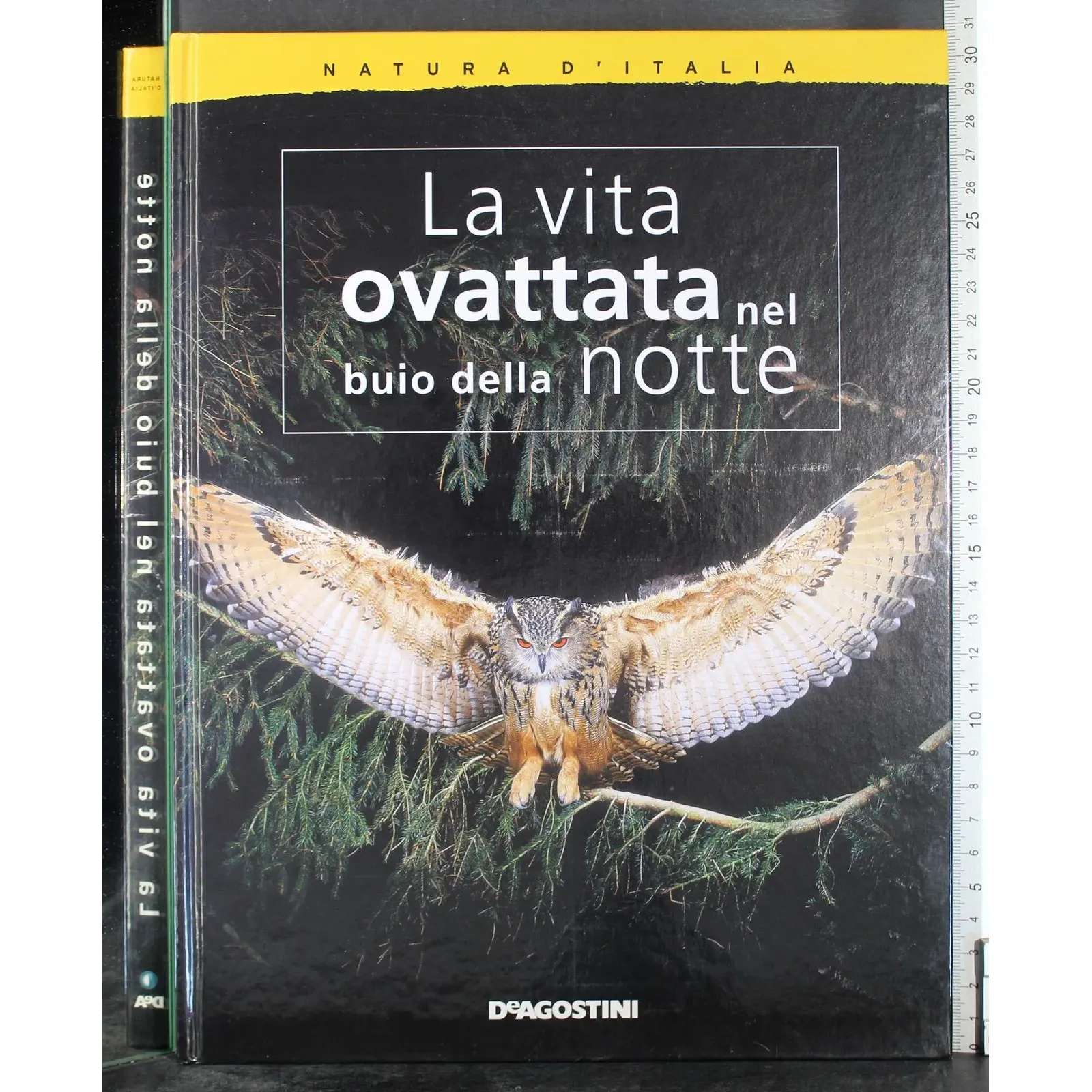 La vita ovattata nel buio della notte