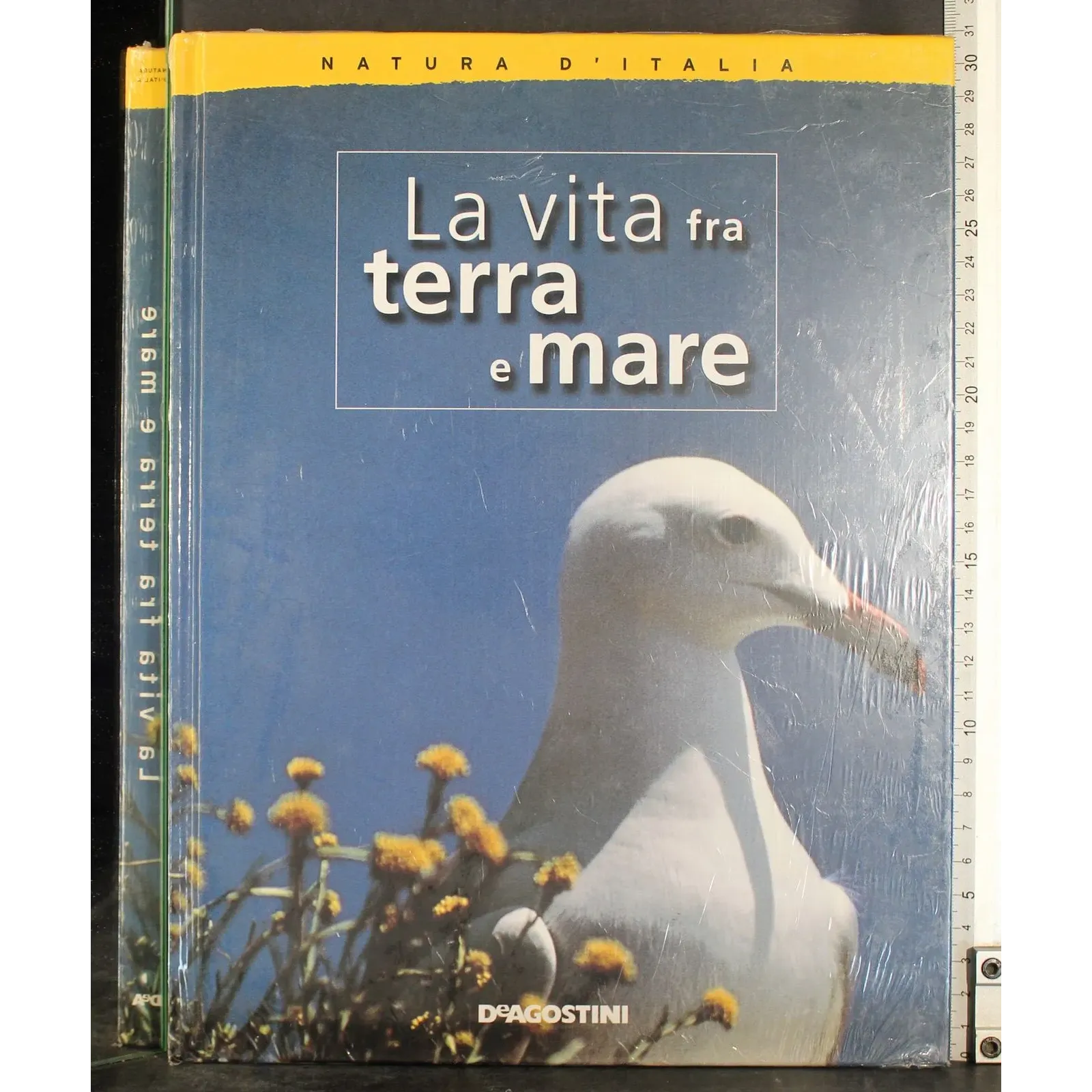 La vita fra terra e mare