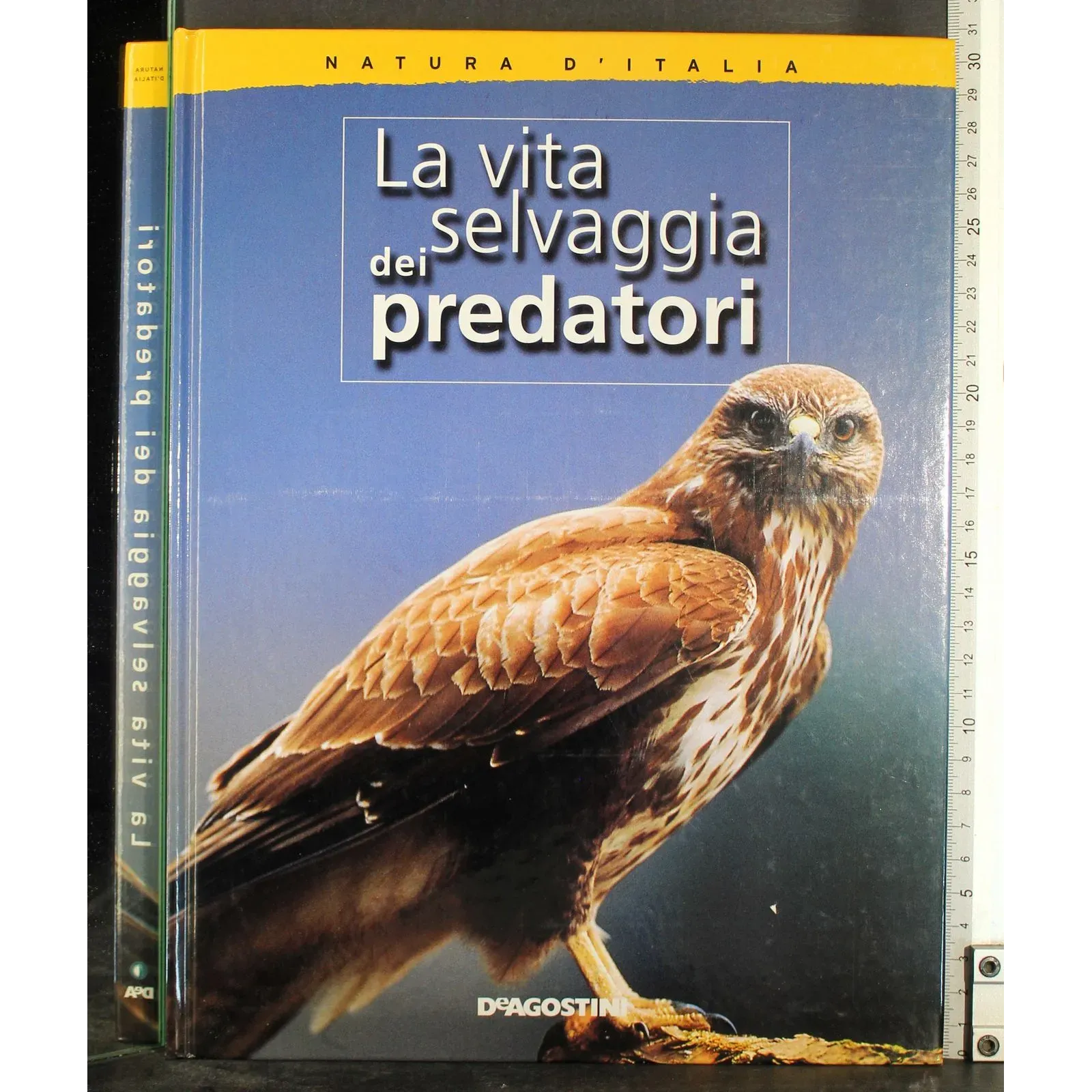 La vita servaggia dei predatori