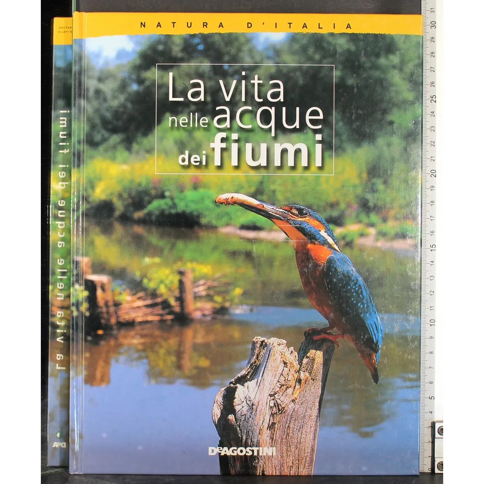 La vita nelle acque dei fiumi