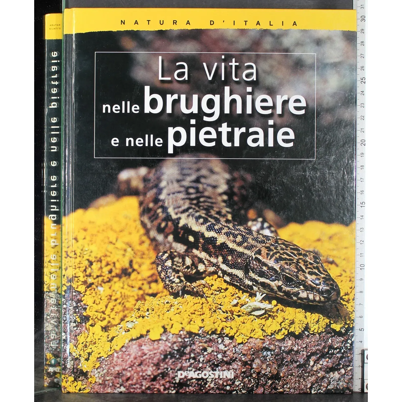 La vita nelle brughiere e nelle pietraie