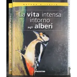 La vita intensa intorno agli alberi