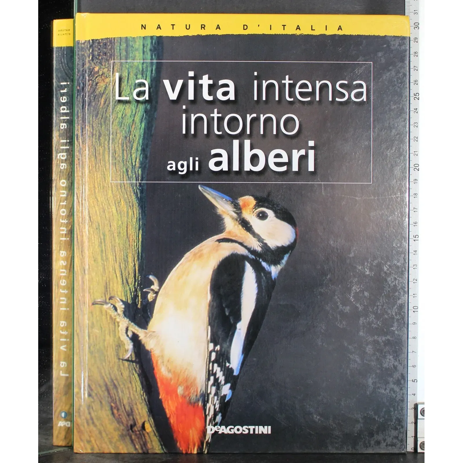 La vita intensa intorno agli alberi