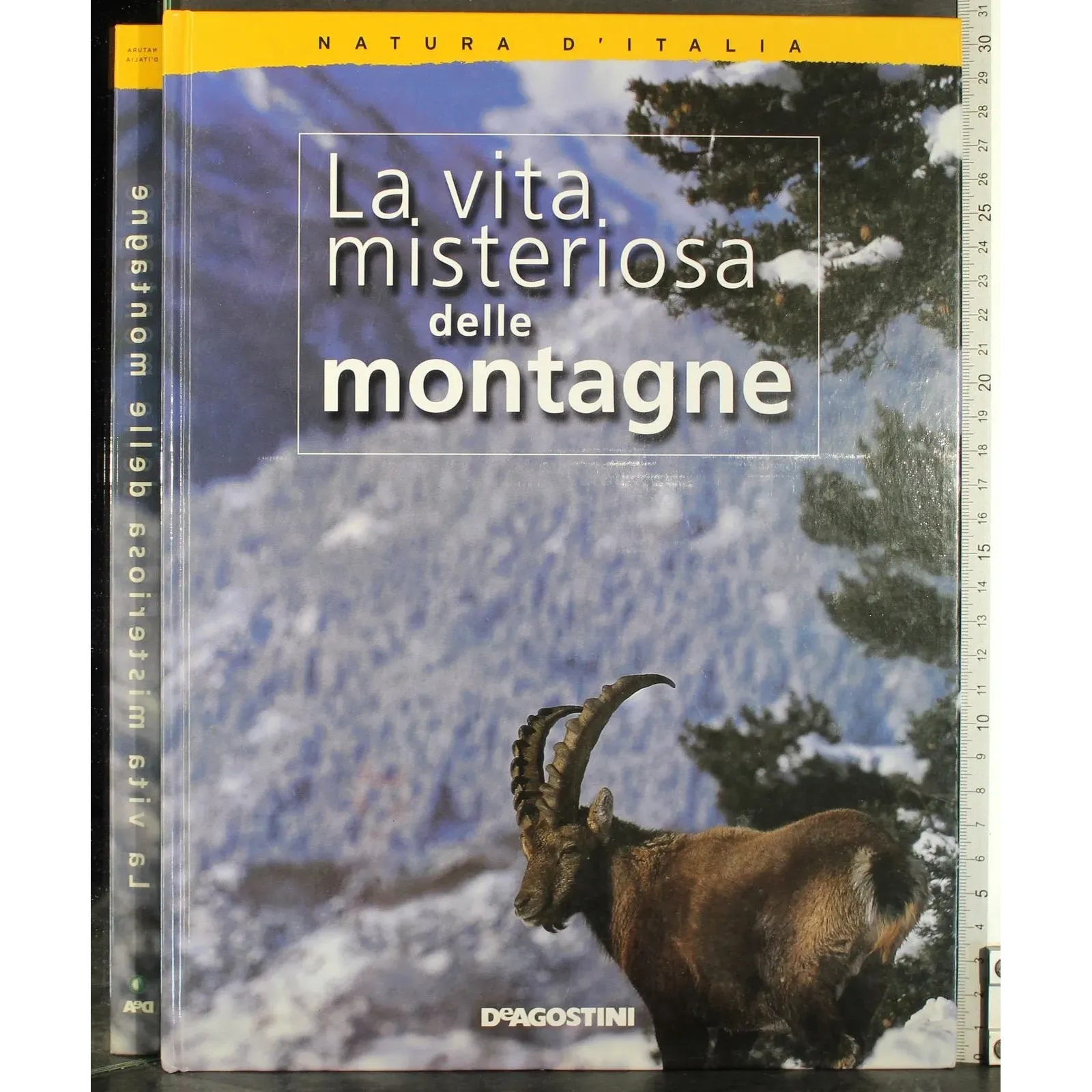 La vita misteriosa delle montagne
