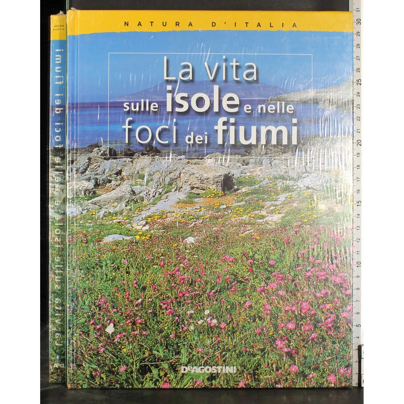 La vita sulle isole e nelle foci dei fiumi