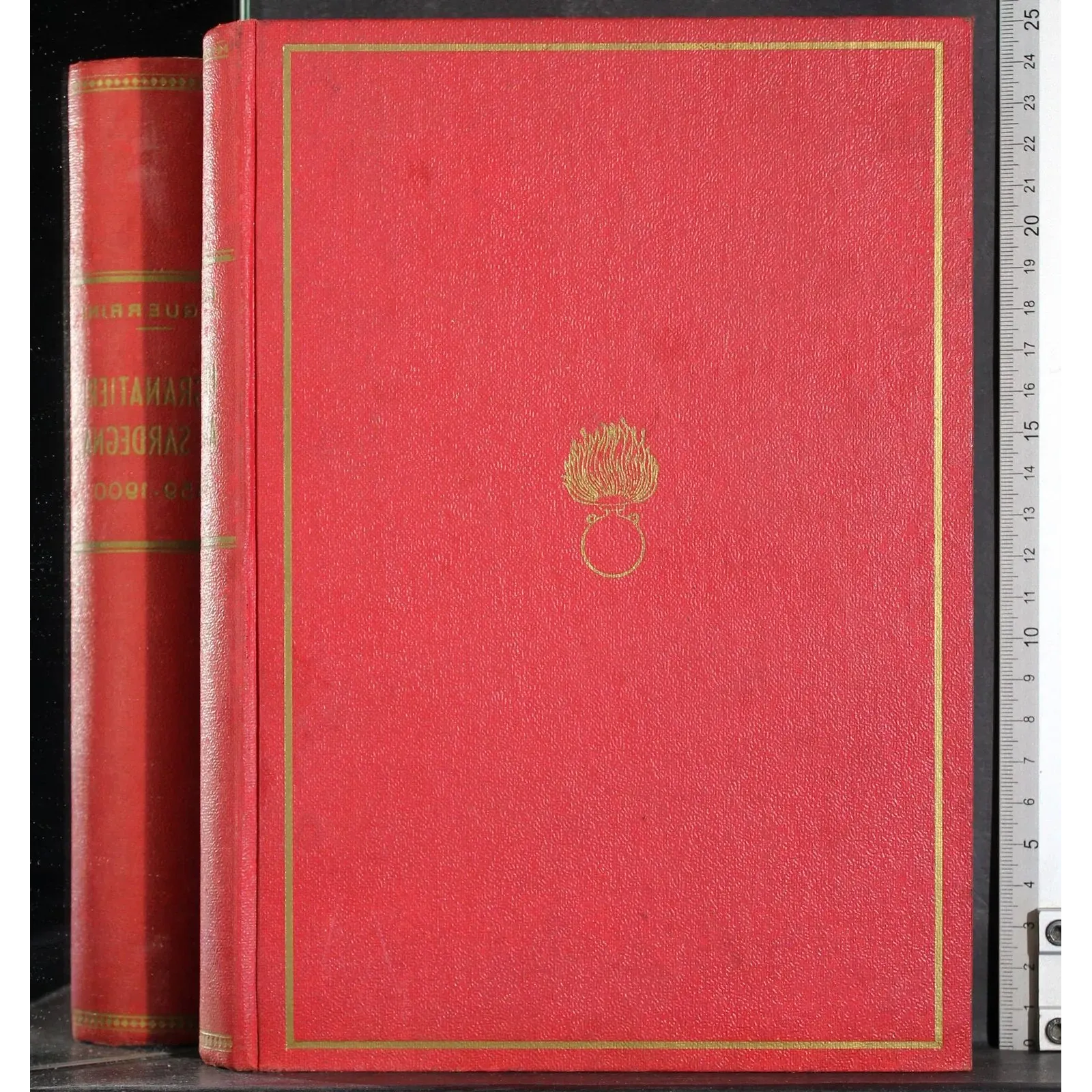 I granatieri di Sardegna