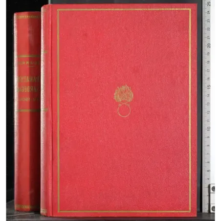 I granatieri di Sardegna