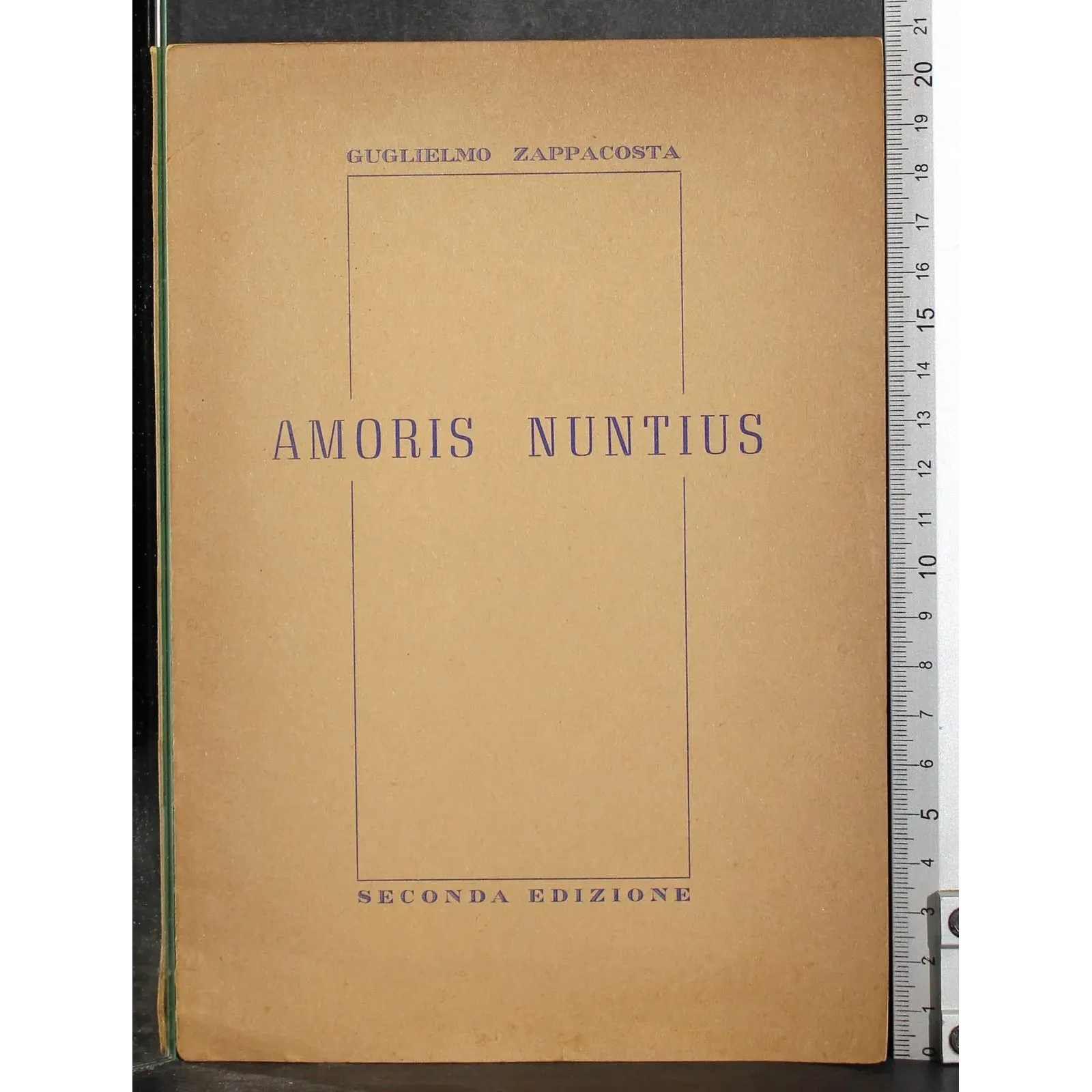 Amoris Nuntius