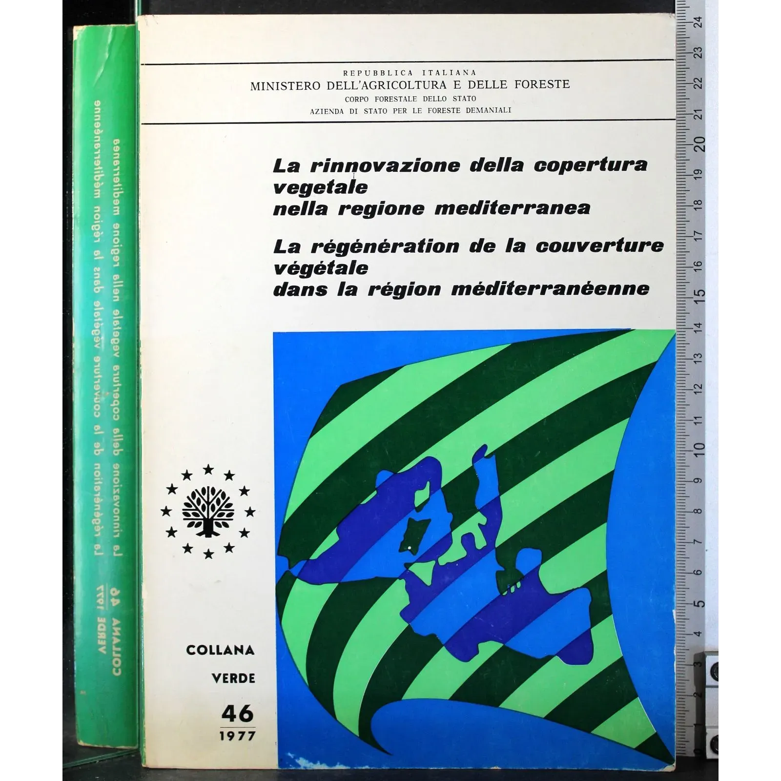 Rinnovazione della copertura vegetale nella regione mediterranea