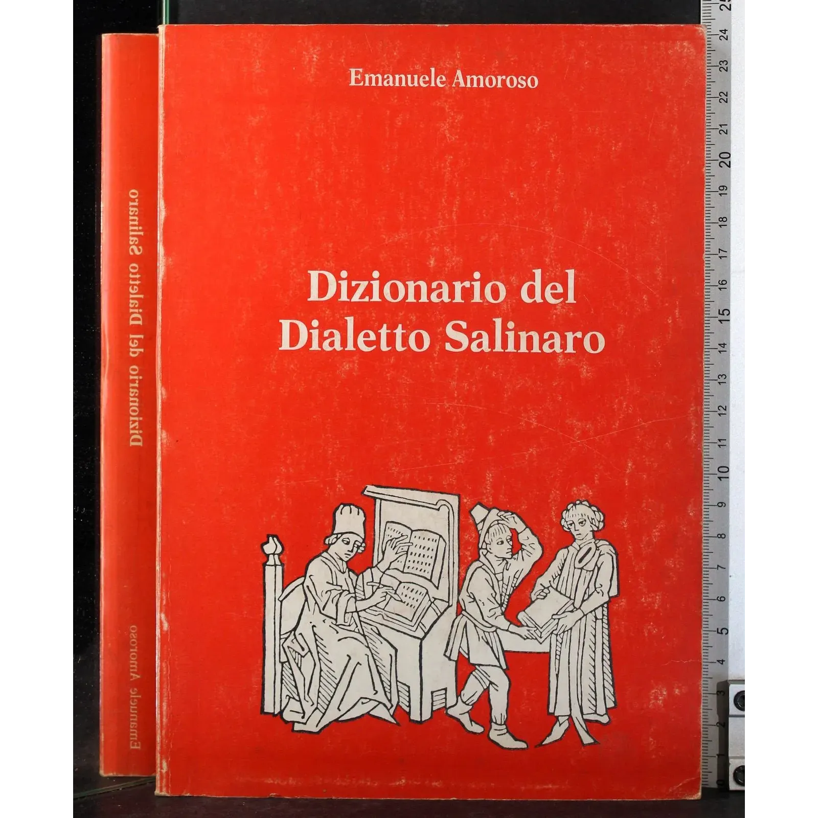 Dizionario del dialetto salinaro