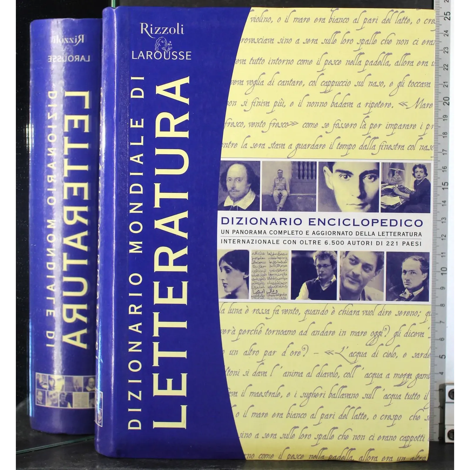 Dizionario mondiale di letteratura