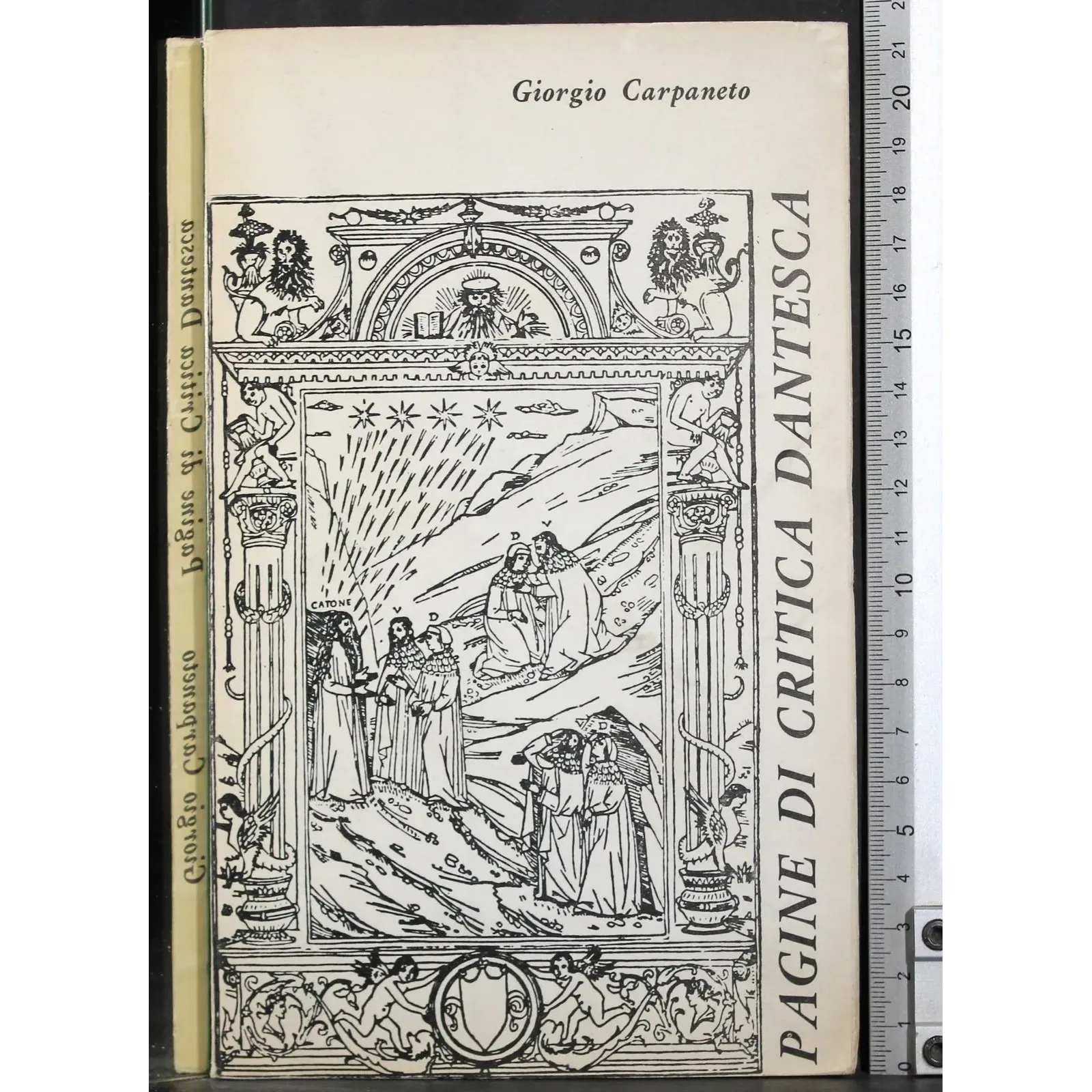 Pagine di critica dantesca