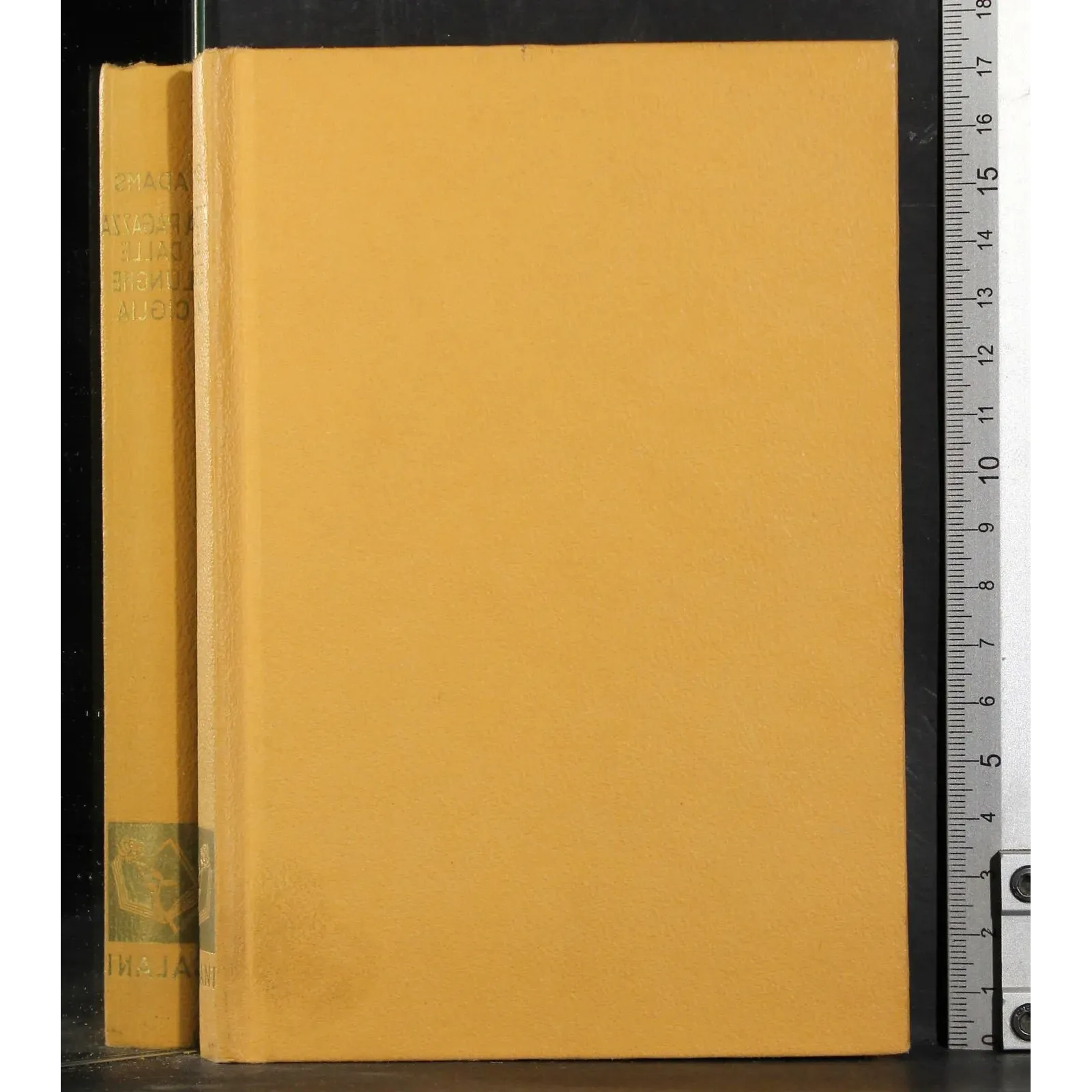 La ragazza dalle lunghe ciglia