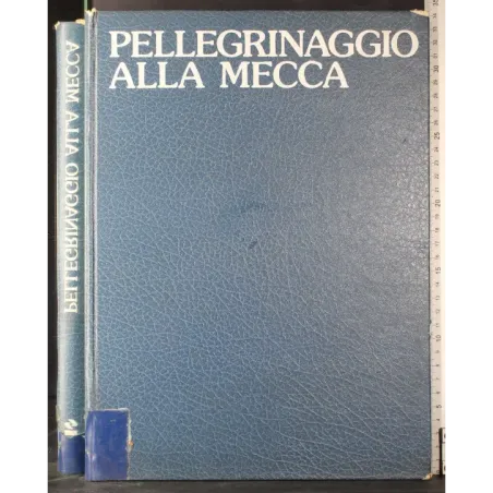 Pellegrinaggio alla Mecca