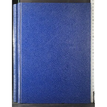 Tesi. La kinesiografia nella pratica odontoiatrica