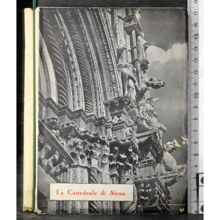 La Cattedrale di Siena