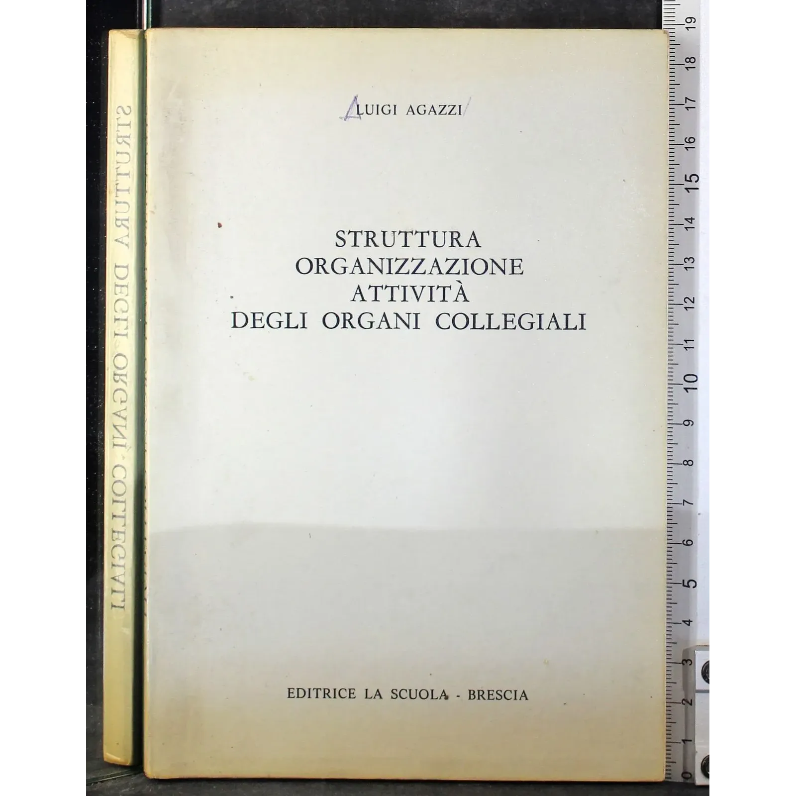 Struttura organizzazione attività degli organi collegiali