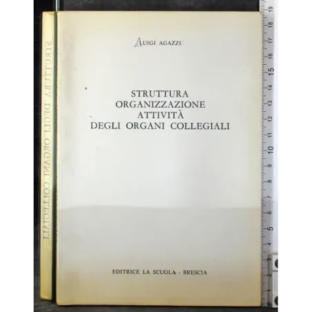 Struttura organizzazione attività degli organi collegiali