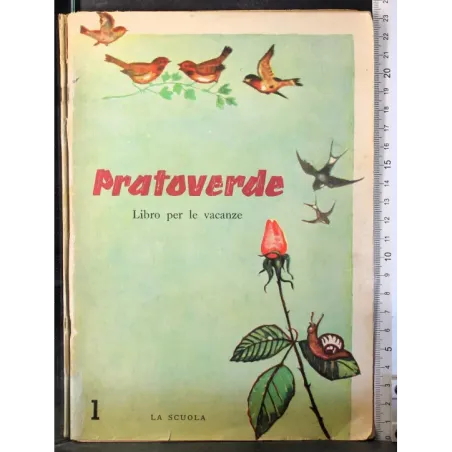 Pratoverde. Libro per le vacanze