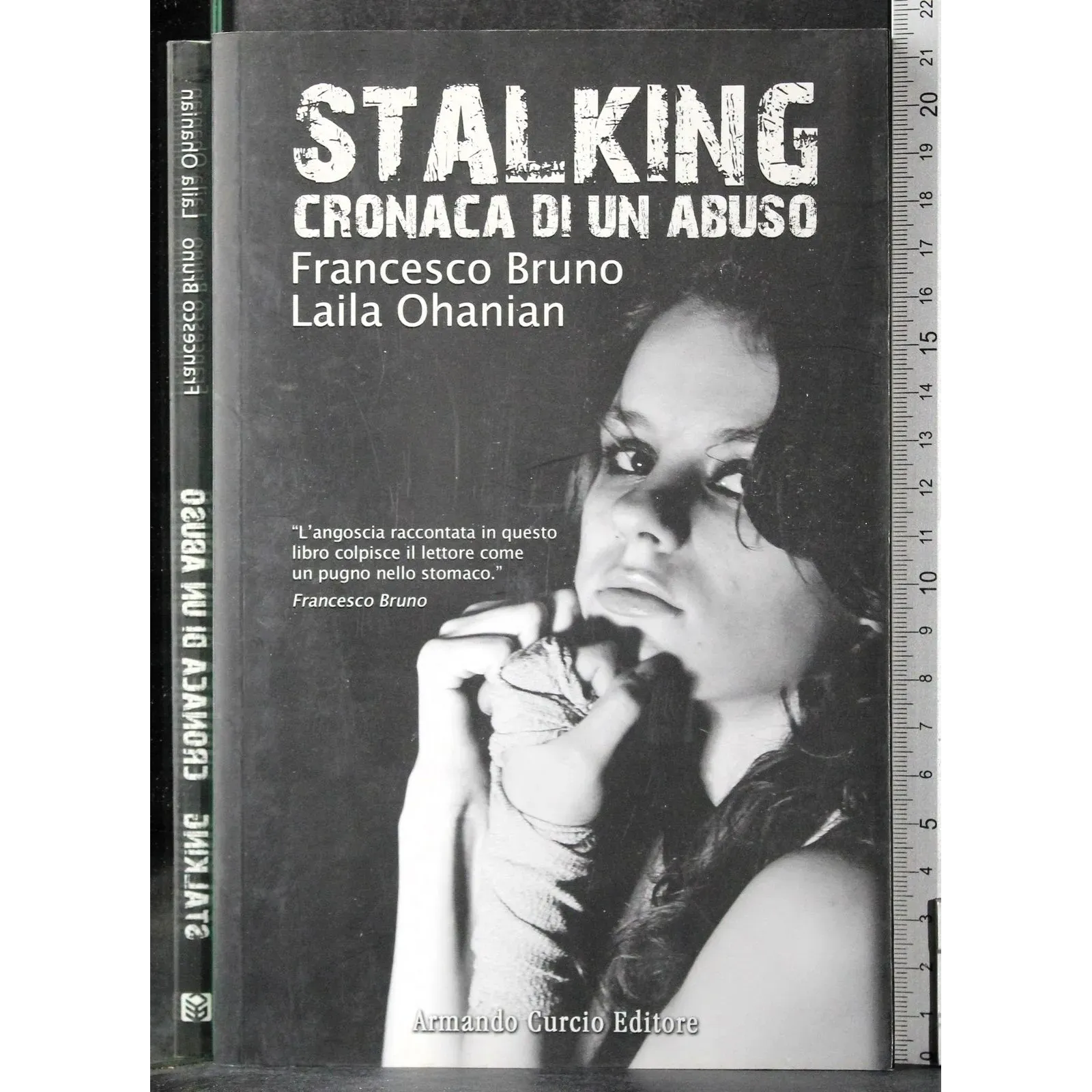 Stalking. Cronaca di un abuso