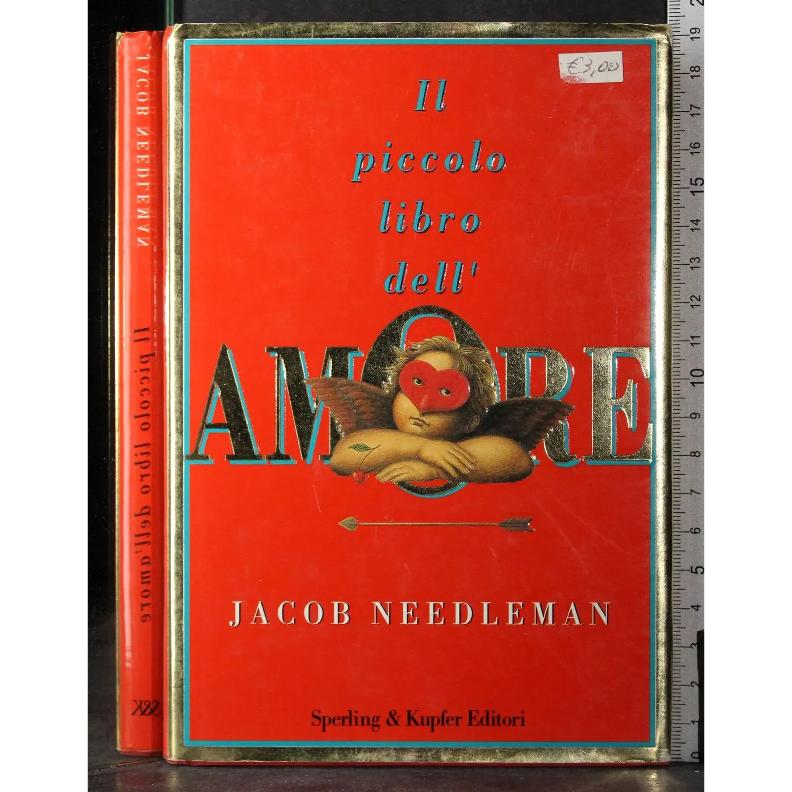 Il piccol libro dell'amore