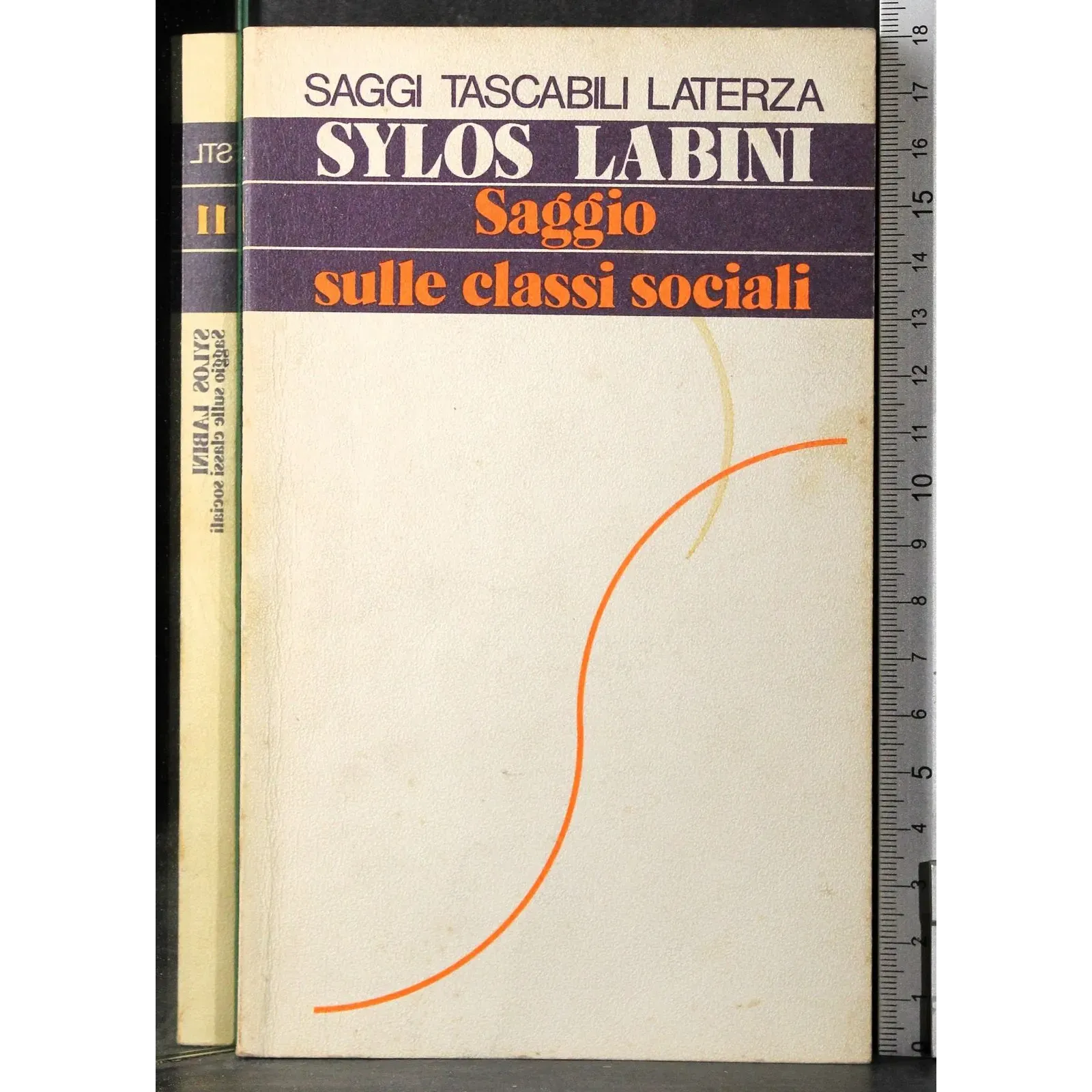 Saggio sulle classi sociali