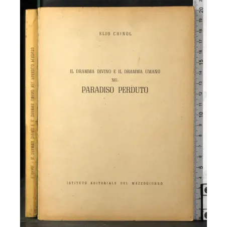Dramma divino e dramma umano nel paradiso perduto