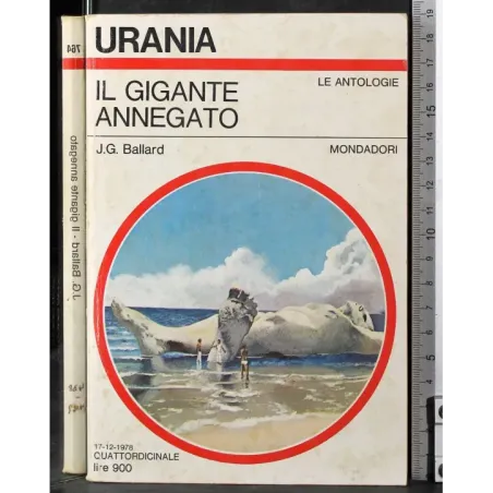Il gigante annegato