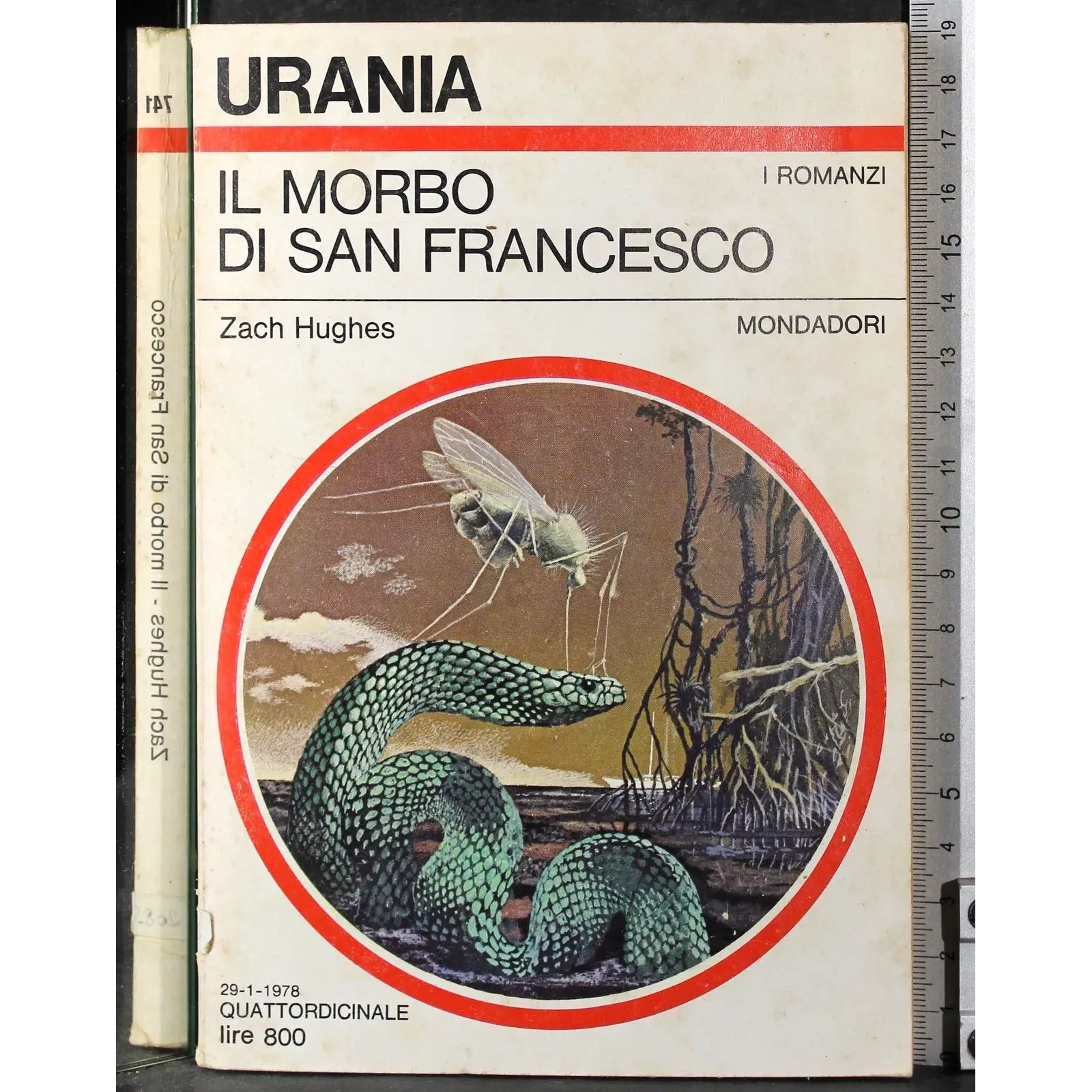 Il morbo di San Francesco