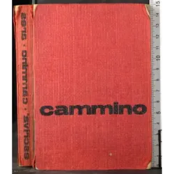Cammino