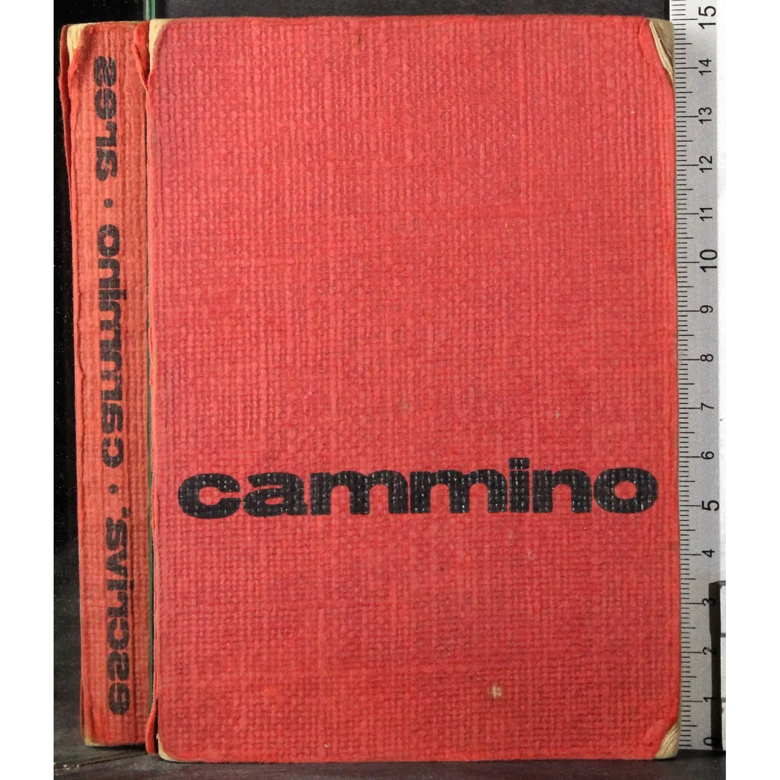 Cammino