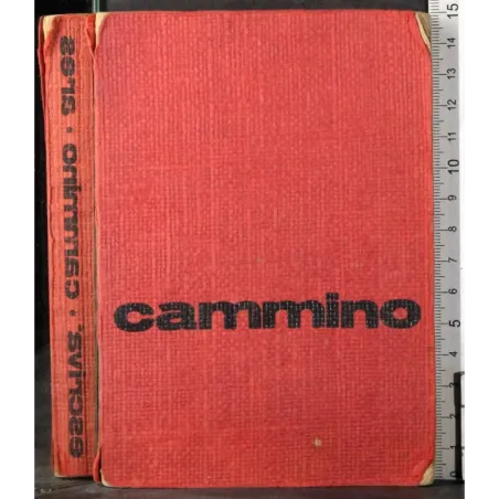 Cammino