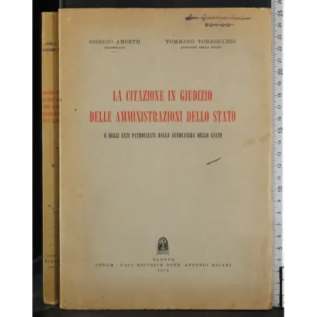La citazione in giudizio delle amministrazoni dello stato