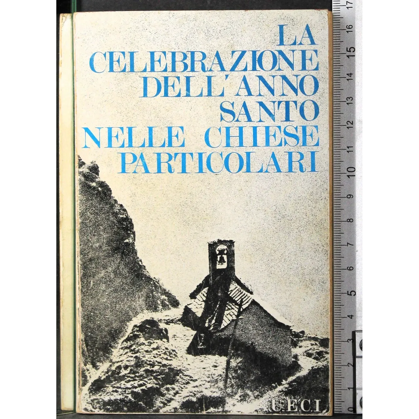 La celebrazione dell'anno santo. Nella chiese particolari