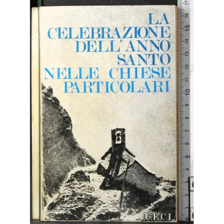 La celebrazione dell'anno santo. Nella chiese particolari