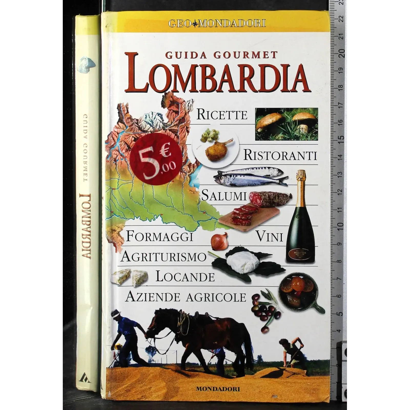 Guida gourmet. Lombardia