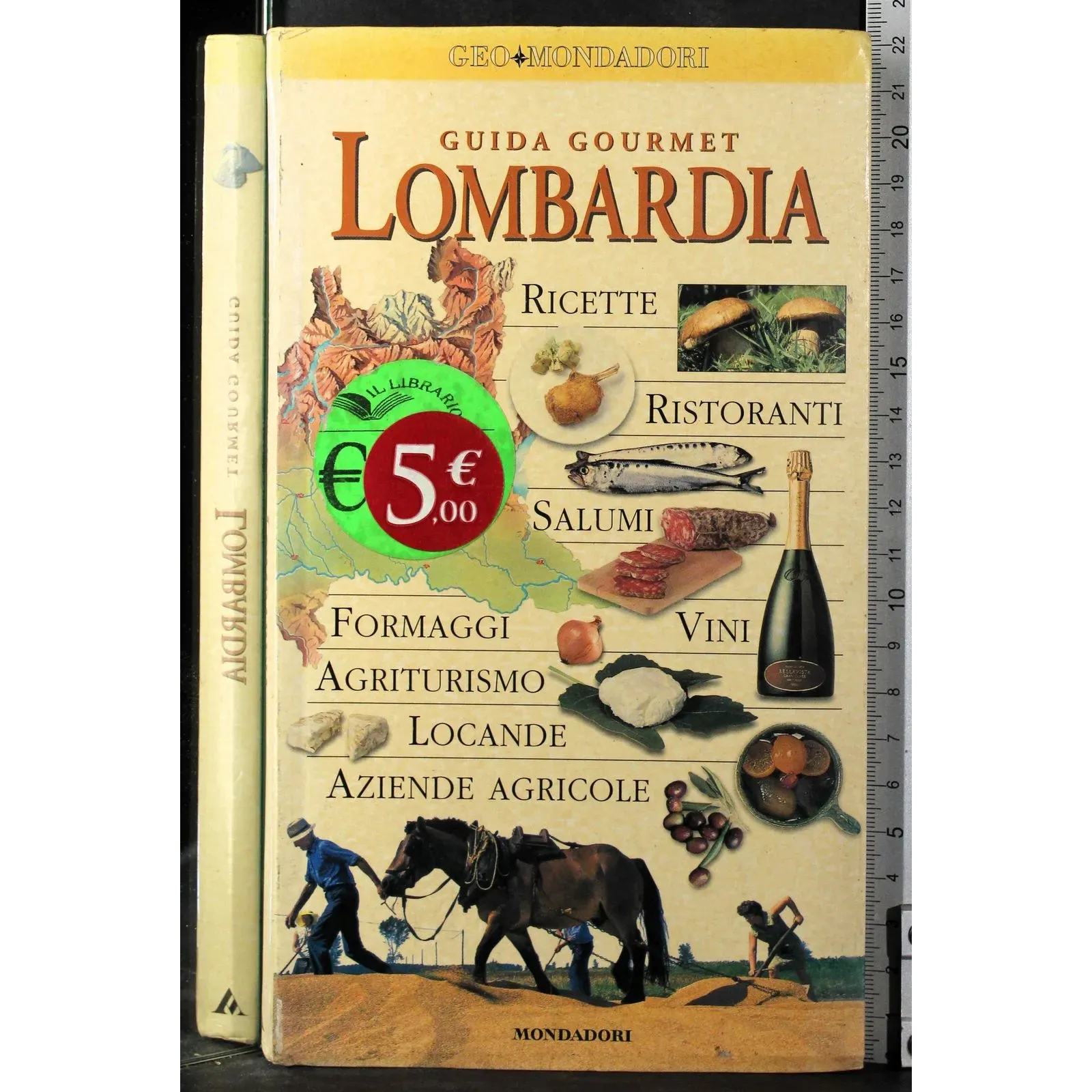 Guida gourmet. Lombardia