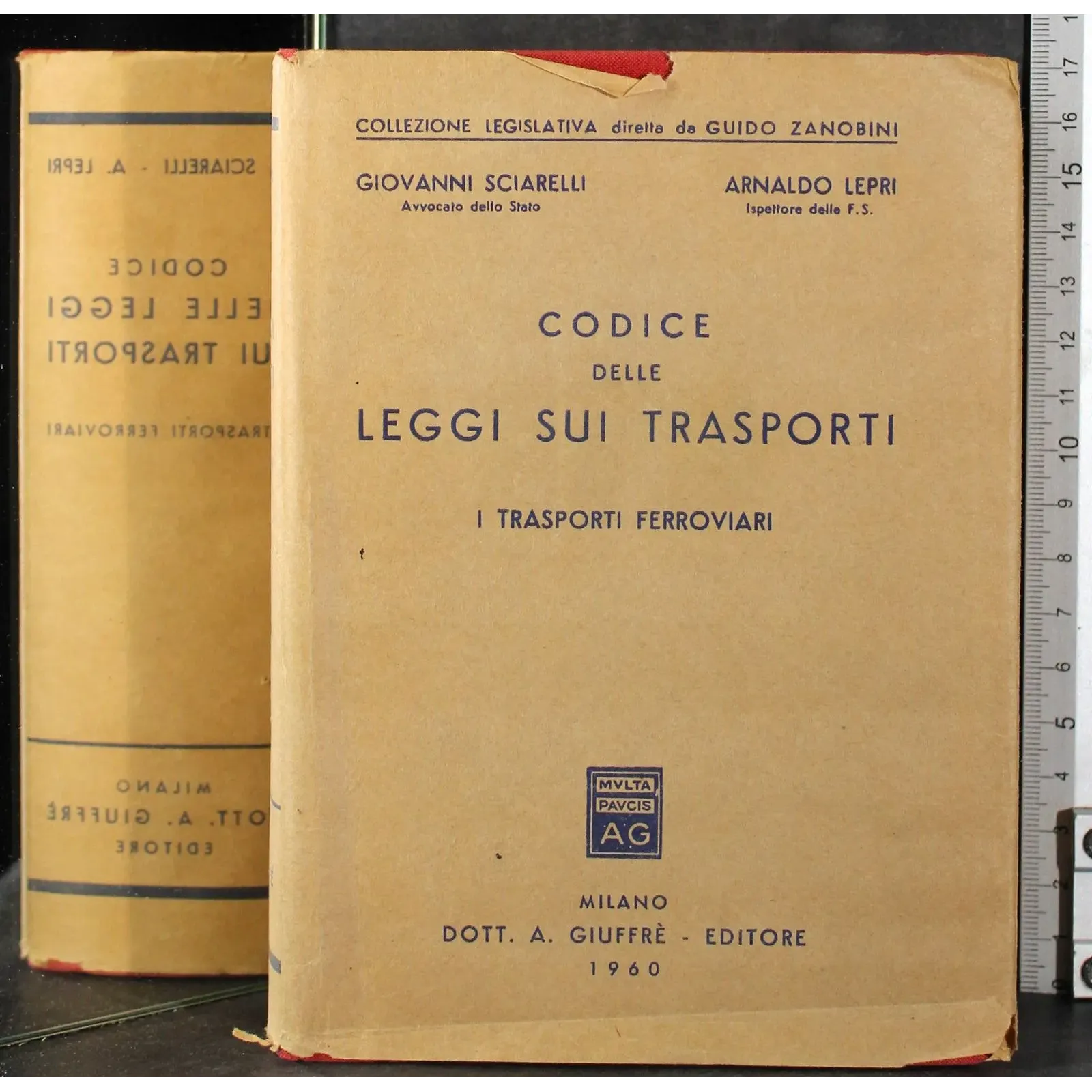 Codice delle leggi sui trasporti. I Trasporti ferroviari