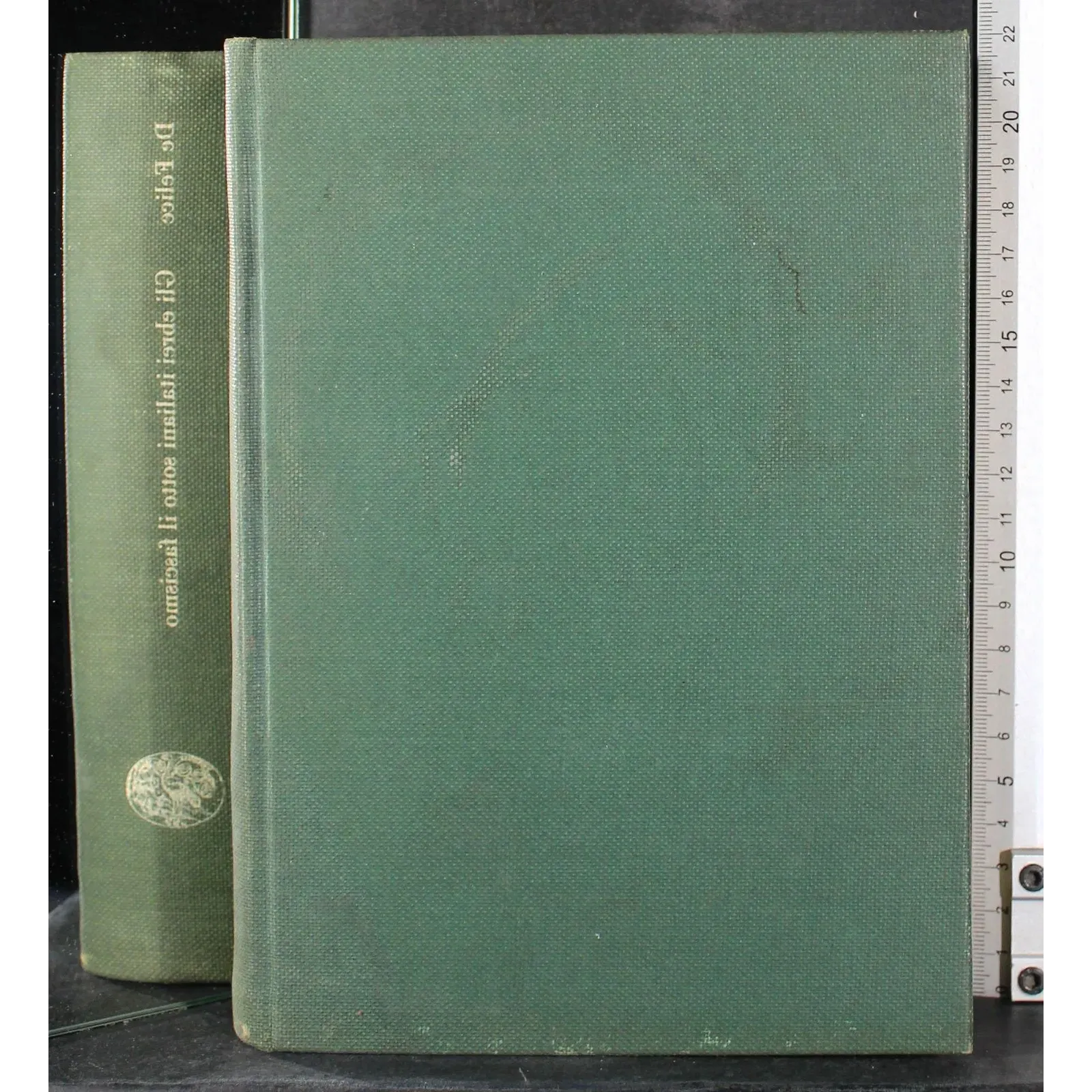 Storia degli ebrei italiani sotto il fascismo