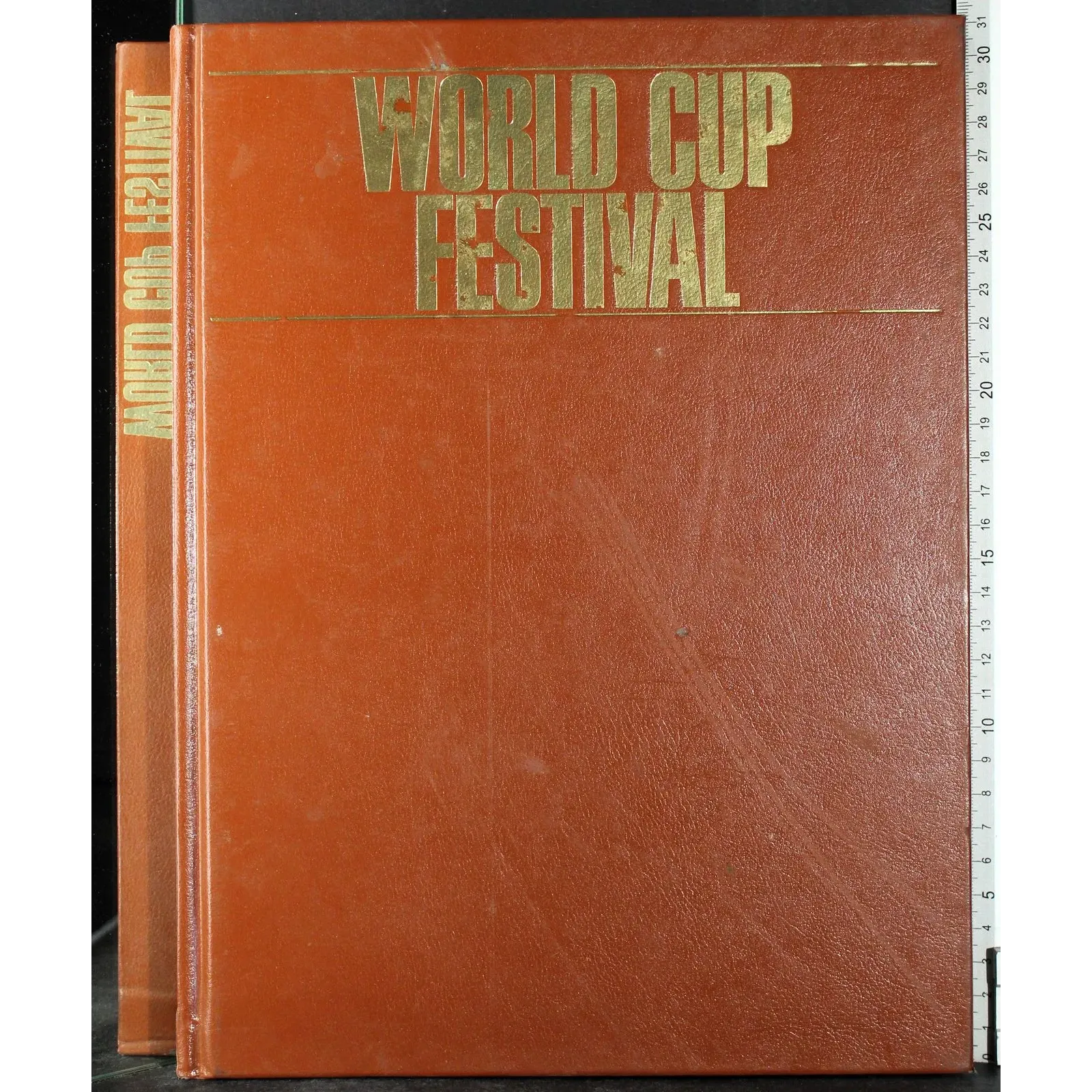 World cup festival