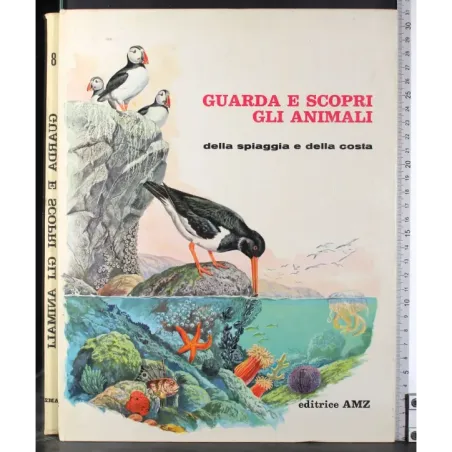 Guarda e scopri gli animali dalla spiaggia e dalla costa