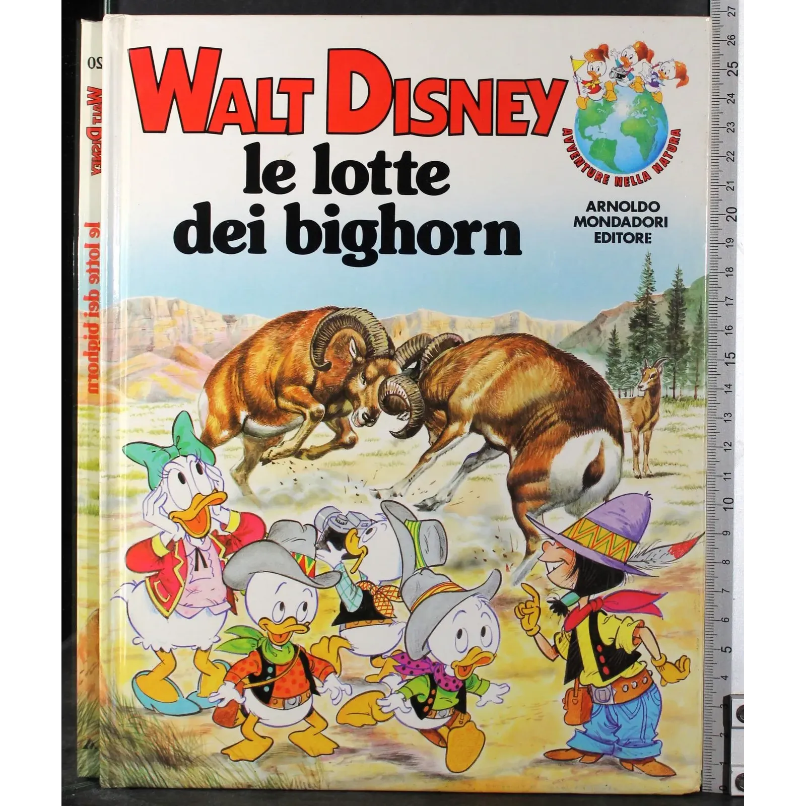 Le lotte dei bighorn