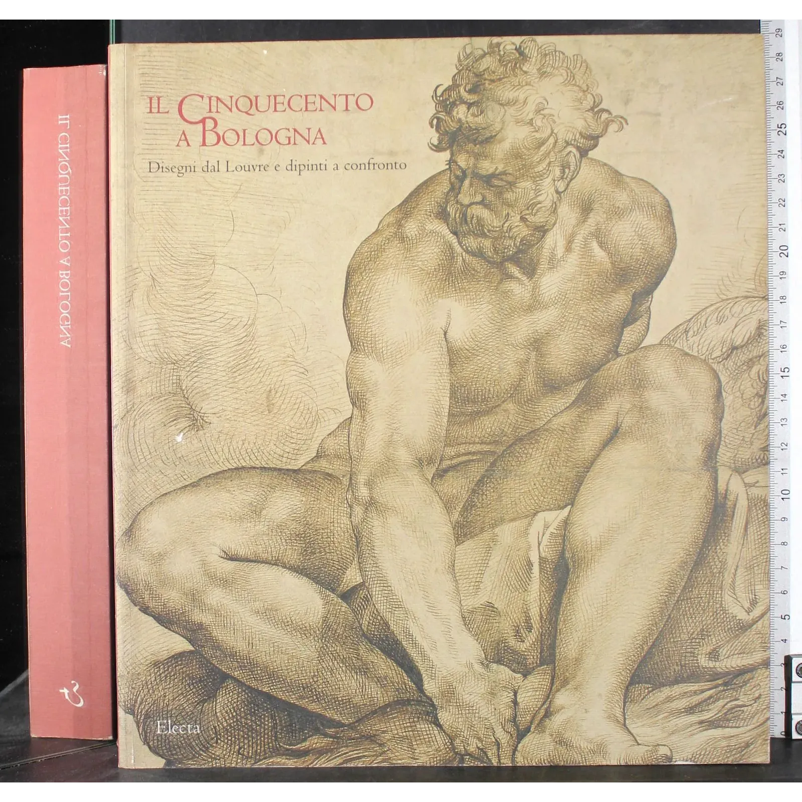 Il cinquecento a Bologna