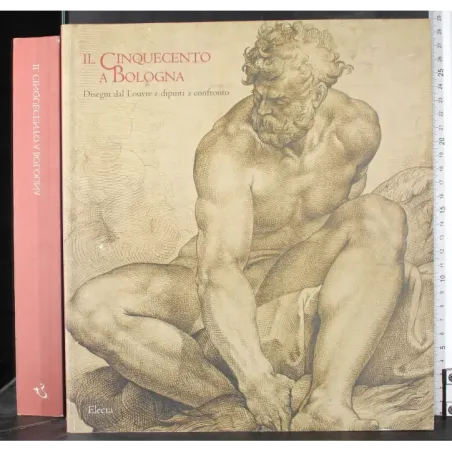 Il cinquecento a Bologna