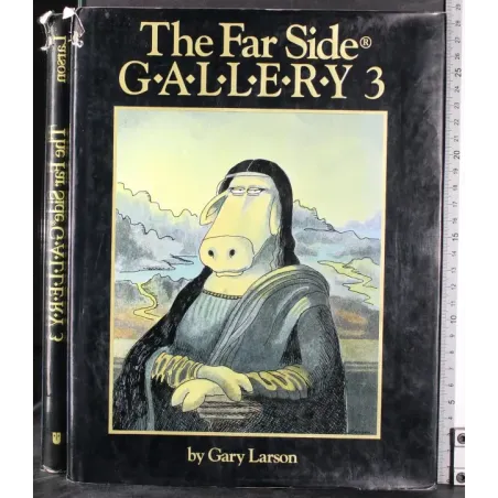 The far side Gallery 3