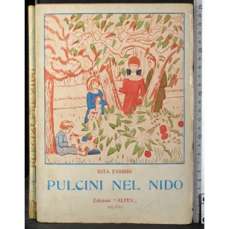 Pulcini nel nido