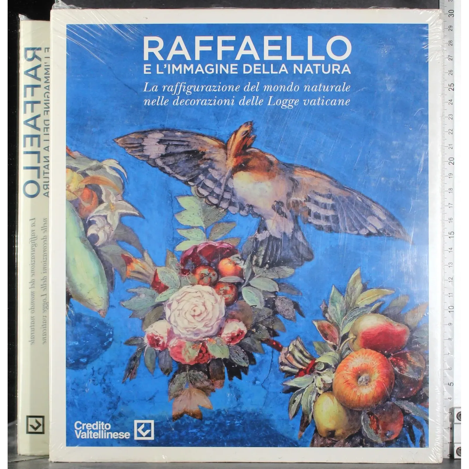 Raffaello e l'immagine della natura