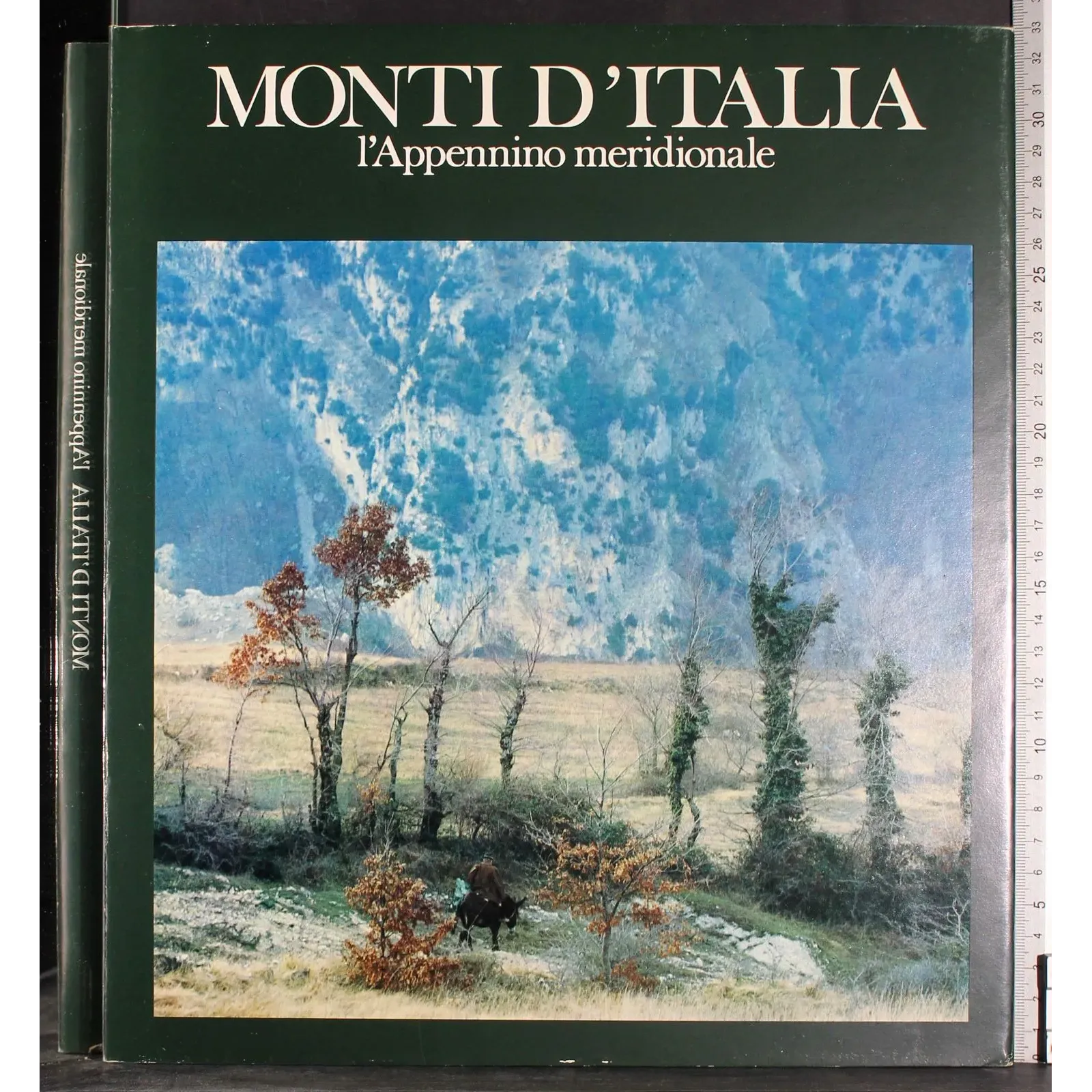 Monti d'Italia. L'Apappennino Meridionale