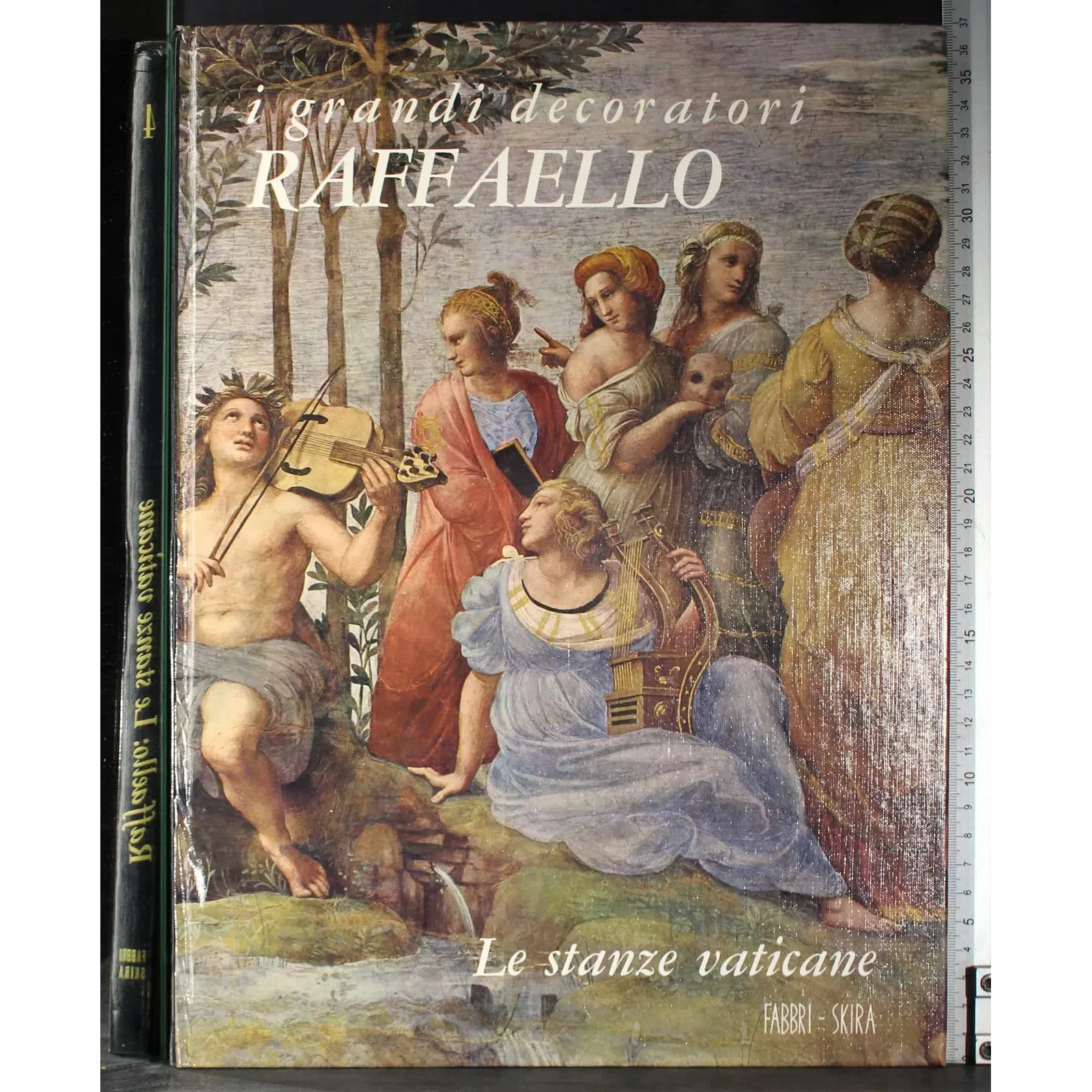 I grandi decorati. Raffaello Le stanze vaticane